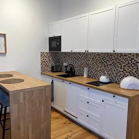 Apartmán Mieszkanie W Sercu Lazarza Poznaň